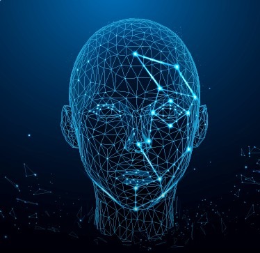 Procedimentos estéticos e reconhecimento facial em sistema de biometria facial